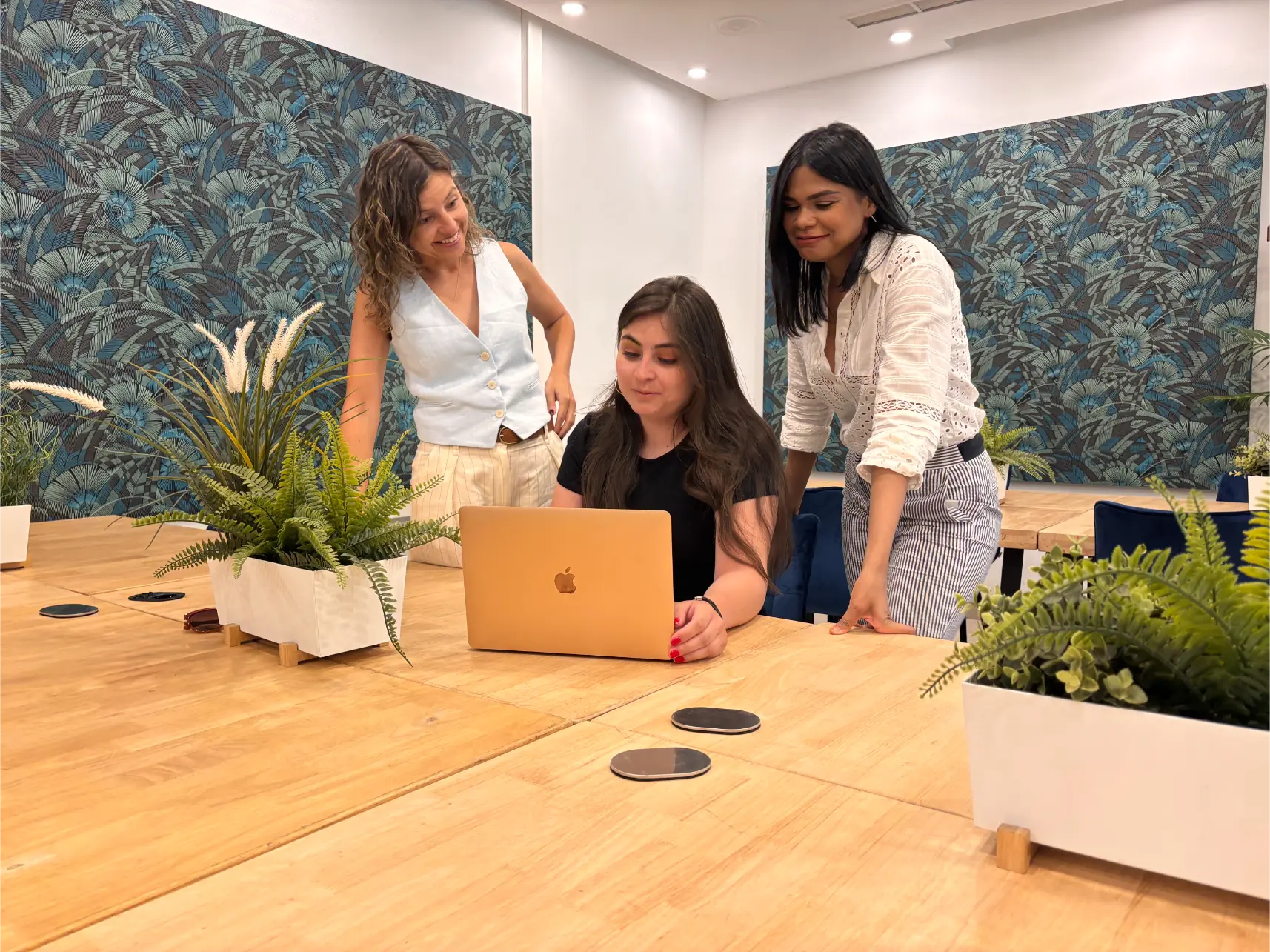 Equipo LMNHL en reunión de trabajo